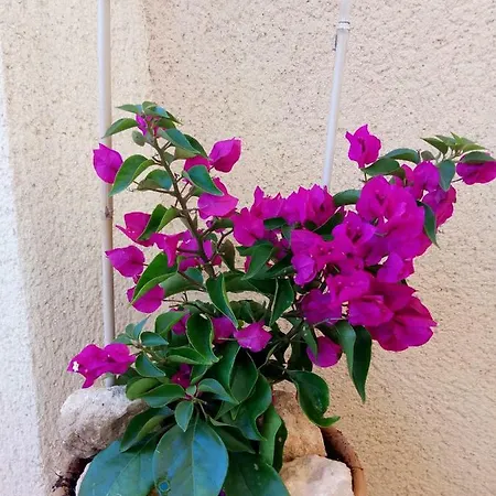La Azohia - El Pinar De San Gines Appartement Buitenkant foto